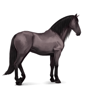 riding horse light gray