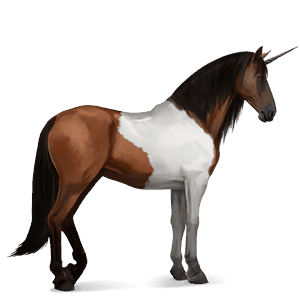 riding unicorn chestnut blanket 