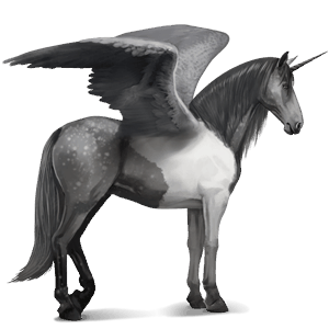 winged riding unicorn dark bay tobiano
