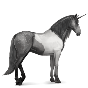 riding unicorn paint horse dapple gray tobiano