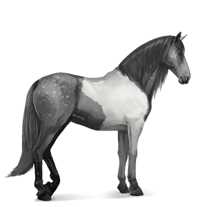 riding horse lusitano light gray