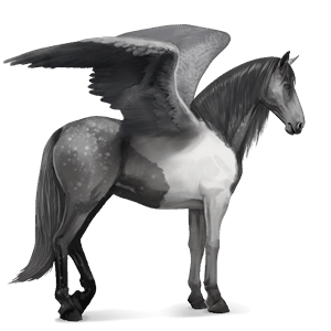 riding pegasus mangalarga marchador light gray