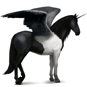 winged riding unicorn mangalarga marchador black tobiano
