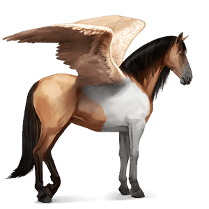 riding pegasus thoroughbred dun