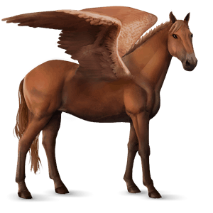 riding pegasus kwpn light gray