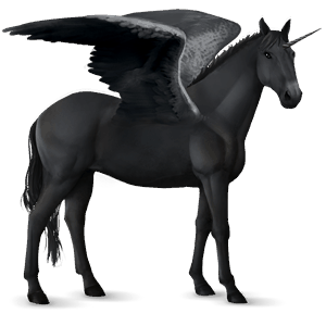 winged riding unicorn arabian horse black