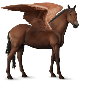 riding pegasus thoroughbred bay