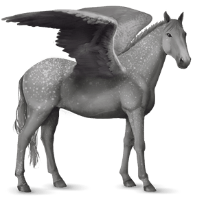 riding pegasus barb dapple gray