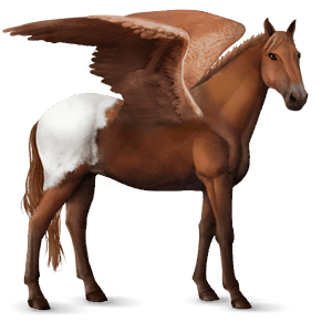 riding pegasus chestnut overo