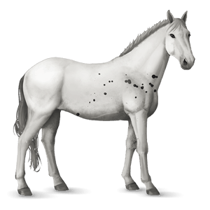 riding horse mustang light gray