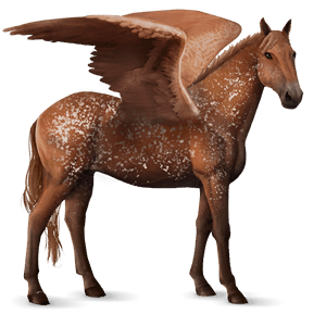 riding pegasus knabstrupper bay leopard