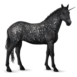 riding unicorn black snowflake 