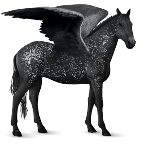 riding pegasus knabstrupper few spots