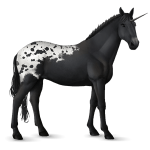 riding unicorn black blanket 