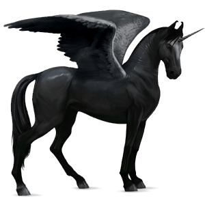 winged riding unicorn marwari black
