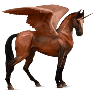 winged riding unicorn marwari black overo