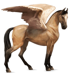 riding pegasus thoroughbred bay