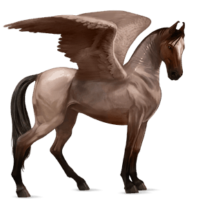 riding pegasus marwari liver chestnut tobiano