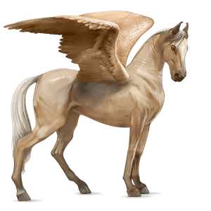 riding pegasus trakehner palomino