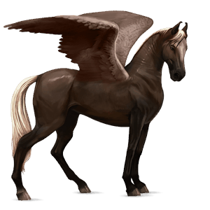 riding pegasus dark bay