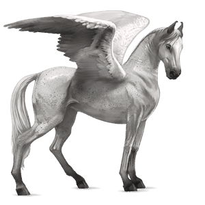 riding pegasus marwari cremello tobiano