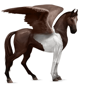 riding pegasus paint horse dark bay tobiano