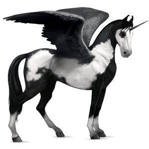 winged riding unicorn marwari black overo