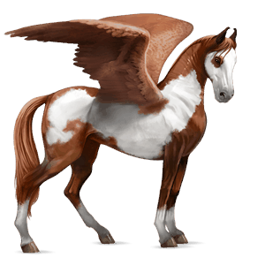 riding pegasus marwari chestnut tobiano