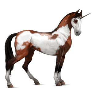 riding unicorn marwari cherry bay