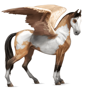 riding pegasus cremello