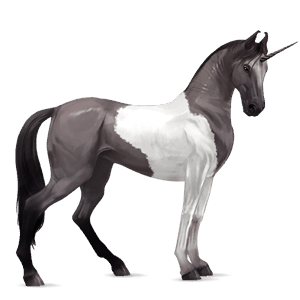 riding unicorn akhal-teke chestnut