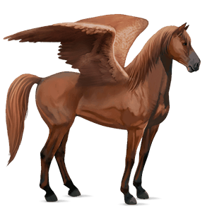 riding pegasus quarter horse chestnut