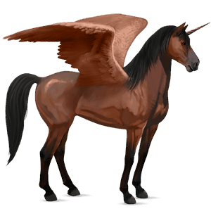 winged riding unicorn mustang cherry bay