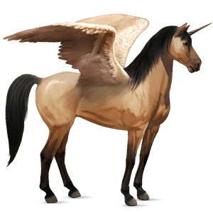 winged riding unicorn barb fleabitten gray