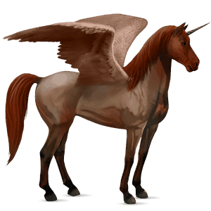 winged riding unicorn marwari liver chestnut