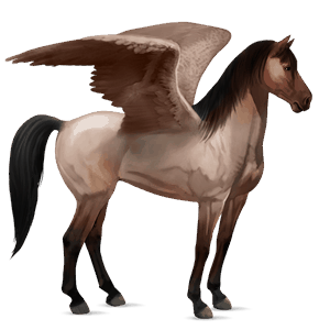 riding pegasus quarter horse strawberry roan