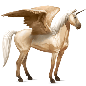 winged riding unicorn thoroughbred black
