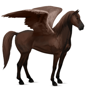 riding pegasus mustang liver chestnut
