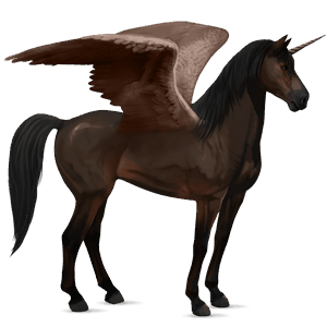 winged riding unicorn peruvian paso dark bay