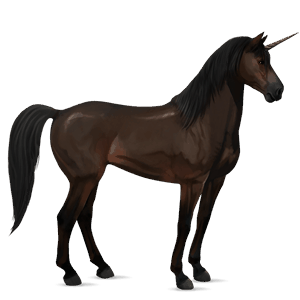 riding unicorn brumby dark bay