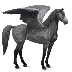 riding pegasus dapple gray