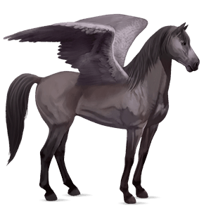 riding pegasus mustang mouse gray