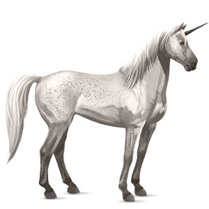 riding unicorn dark bay