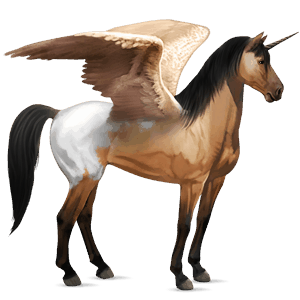 winged riding unicorn curly bay