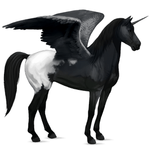 winged riding unicorn black blanket 