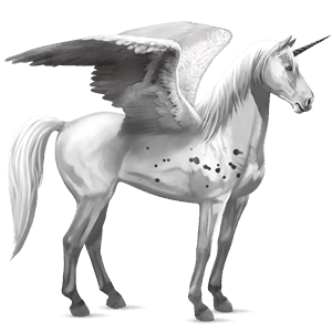 winged riding unicorn dun tobiano