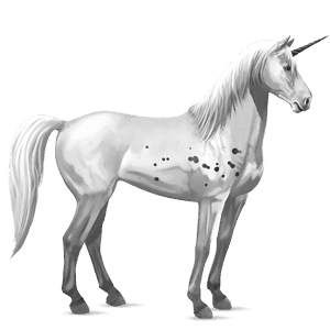 riding unicorn paint horse dapple gray tobiano