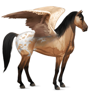 riding pegasus mustang dun
