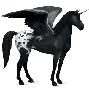 winged riding unicorn black blanket 