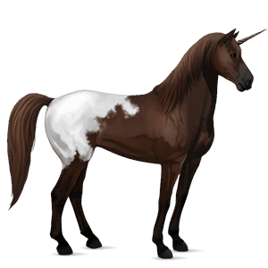 riding unicorn arabian horse dark bay